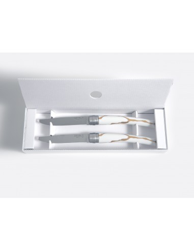 Set de 2 Cuchillos de Mesa Kintsugi
