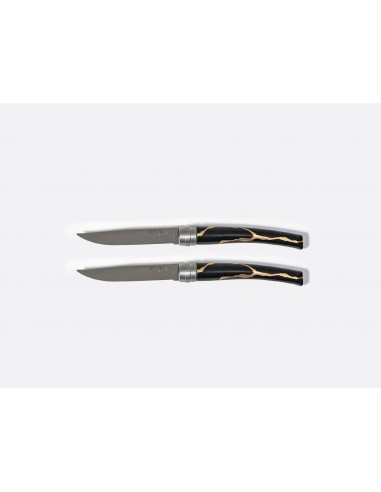 Set de 2 Cuchillos de Mesa Kintsugi Charbon