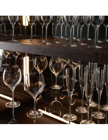 Set de 4 Copas Flauta Maxima