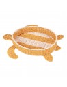 Tortuga Marina Incarta