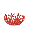 Frutero "Mediterraneo" R