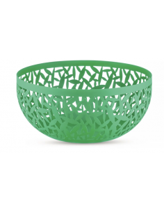 Frutero "Cactus !"