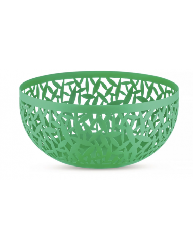 Frutero "Cactus !"