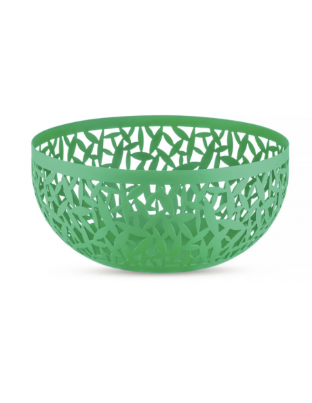 Frutero "Cactus !"