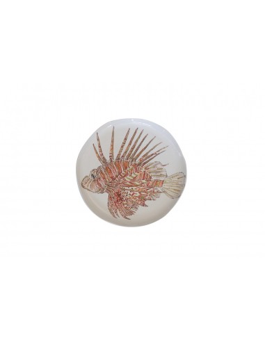 Plato Pesce Leone Tropicale