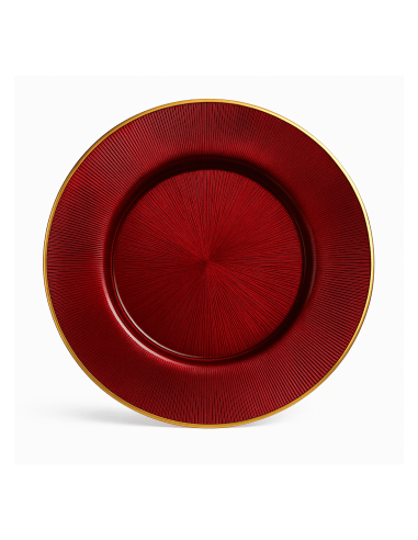 Plato Llano Focus - Rojo