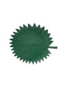 Platon Palm Leaf