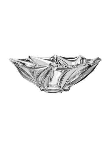 Bowl Bromelias