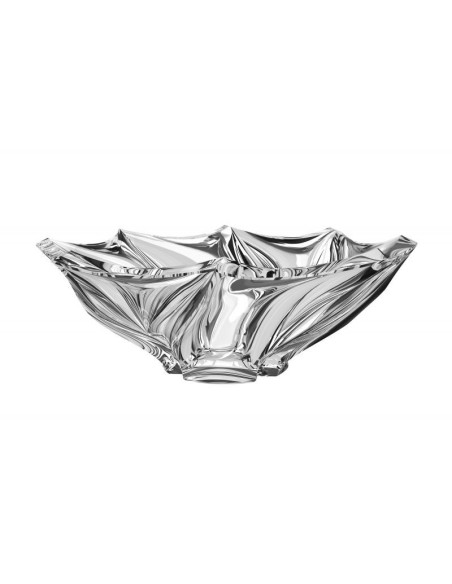 Bowl Bromelias