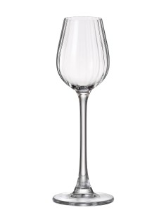 Set de 6 Copa de Licor Columba Optic