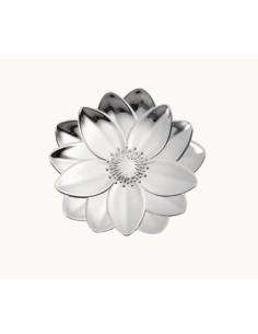 Bowl lotus L'herbier