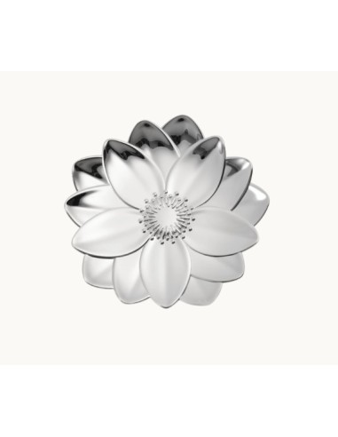 Bowl lotus L'herbier