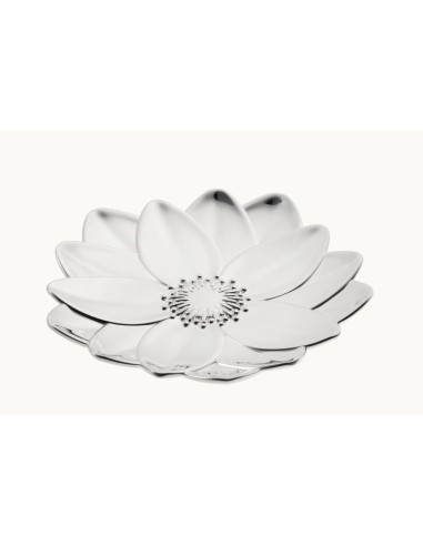 Bowl lotus L'herbier