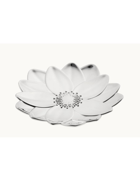 Bowl lotus L'herbier