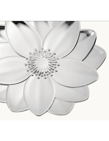 Bowl lotus L'herbier