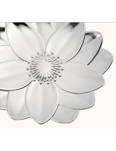 Bowl lotus L'herbier