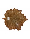 Platón Hoja de Roble