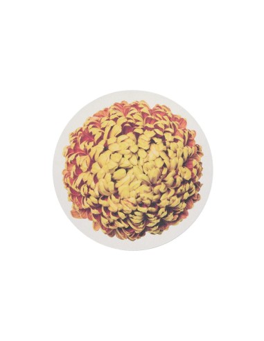 Individual Mums Ambar
