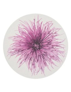 Individuales Mums Plum