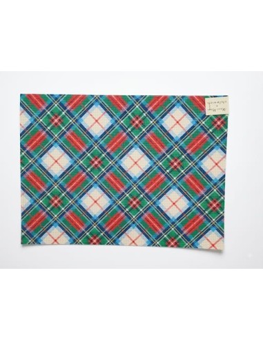 Individuales Tartan Multicolor
