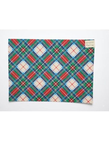 Individuales Tartan Multicolor