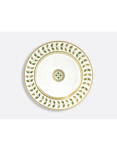 Plato Llano Constance