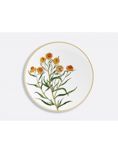 Plato Llano Jardin Indien Bergenis