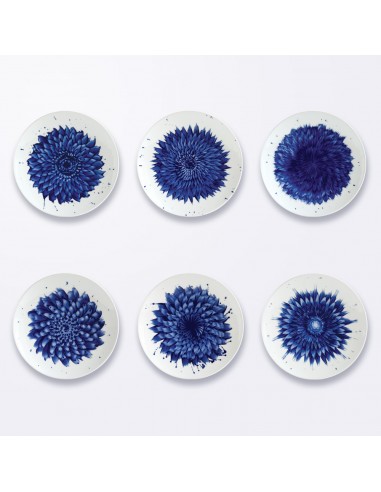 Set de 6 Platos de Postre In Bloom