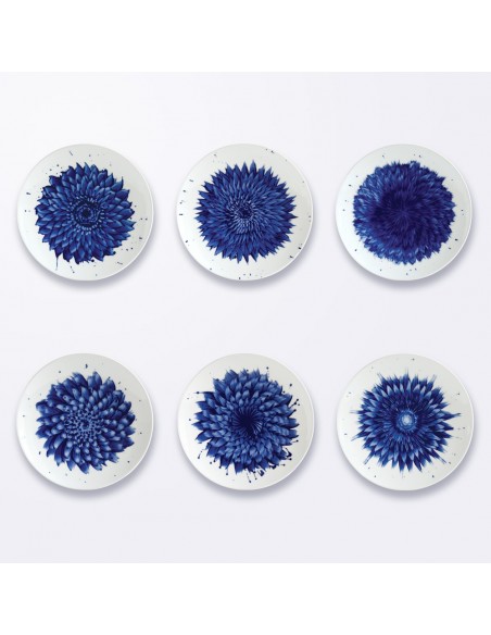 Set de 6 Platos de Postre In Bloom
