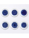 Set de 6 Platos de Postre In Bloom