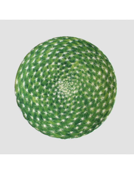 Plato de Postre Cactus