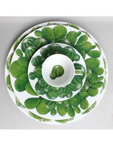 Plato de Postre Cactus