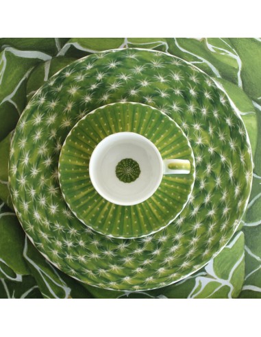 Plato de Postre Cactus