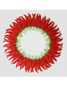 Plato Llano Red