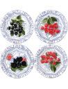Set de 4 Platos de Postre Oiseau Bleu
