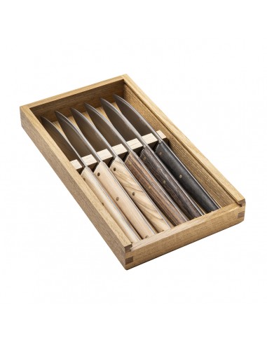 Set de 6 Cuchillos para Carne Mirage Les Essences