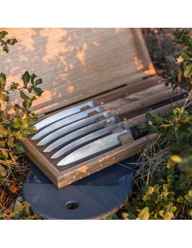 Set de 6 Cuchillos para Carne Mirage Les Essences