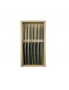 Set de 6 Cuchillos para Carne Mirage Les Essences