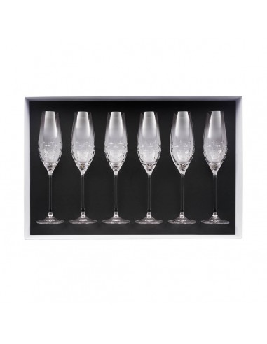 Set de 6 Copas de Champaña Newport Twist