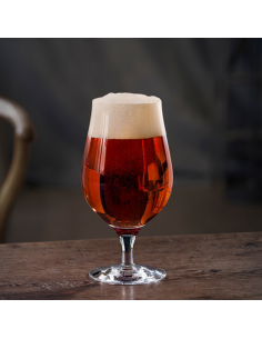 Set de 4 Copas Beer Taster 2