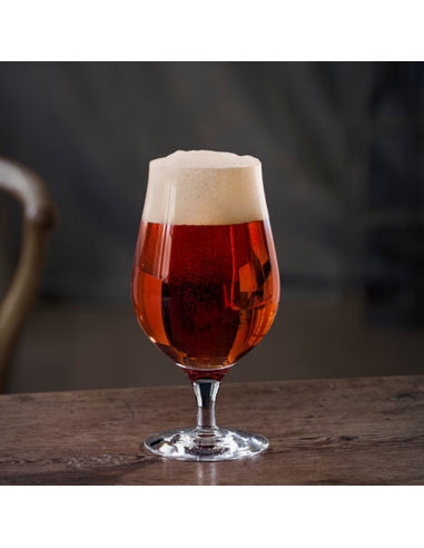 Set de 4 Copas Beer Taster
