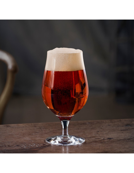 Set de 4 Copas Beer Taster