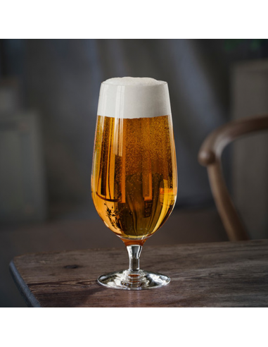 Set de 4 Copas Beer Taster L