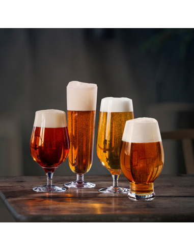 Set de 4 Copas Beer Taster L
