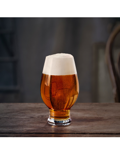 Set de 4 Copas Beer IPA 2