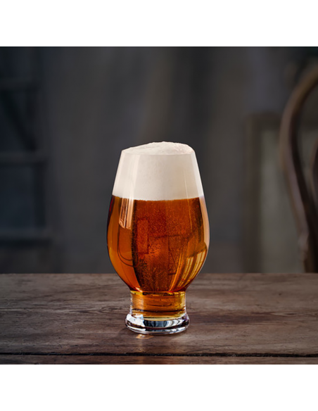 Set de 4 Copas Beer IPA