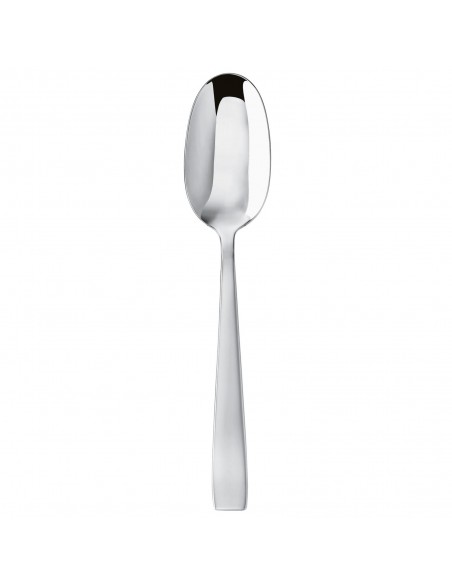 Cuchara de Servir Flat