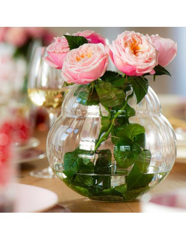 Florero Rose Garden