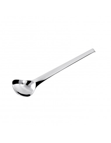 Cuchara para Aderezo Living