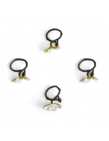 Set de 4 Aros Dogwood
